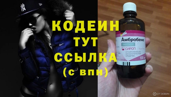 PSILOCYBIN Сатка