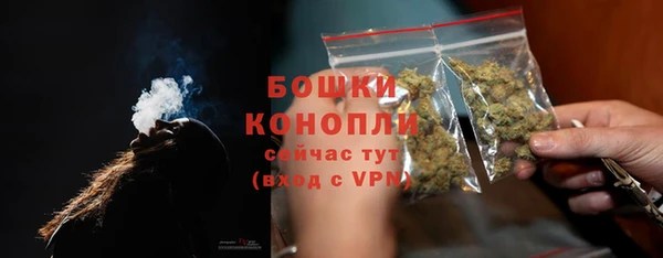 PSILOCYBIN Сатка