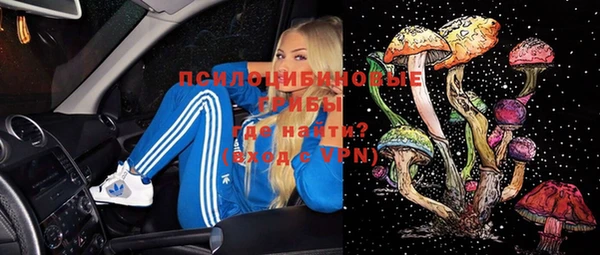 дурь Саяногорск