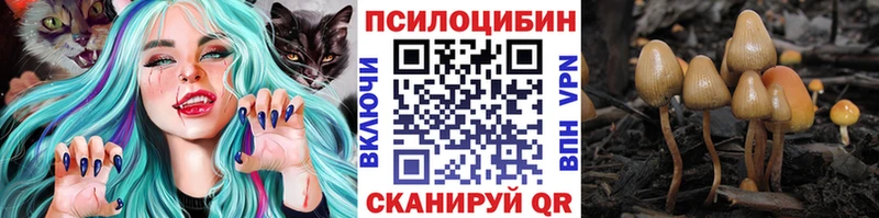 Галлюциногенные грибы Magic Shrooms  Углегорск 